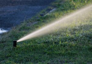 water, watering, garden-1544808.jpg